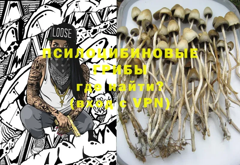 как найти закладки  даркнет как зайти  Галлюциногенные грибы Cubensis  Будённовск 